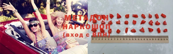 индика Зеленодольск