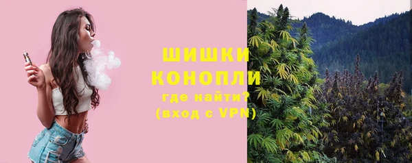 индика Зеленодольск