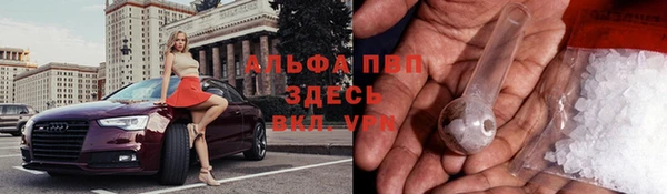 индика Зеленодольск