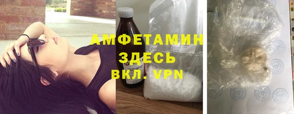 индика Зеленодольск