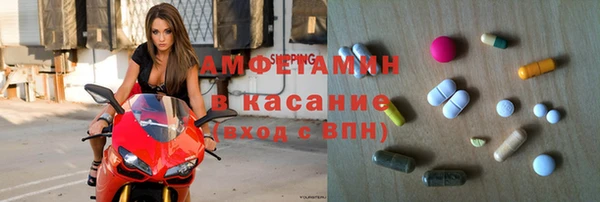 индика Зеленодольск