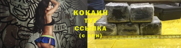 индика Зеленодольск