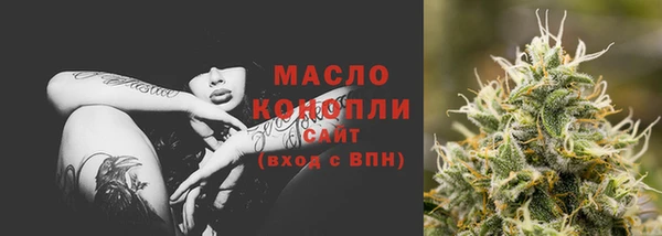 индика Зеленодольск
