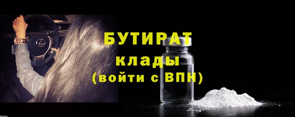 индика Зеленодольск