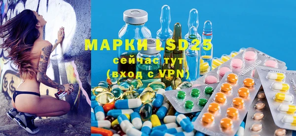 индика Зеленодольск