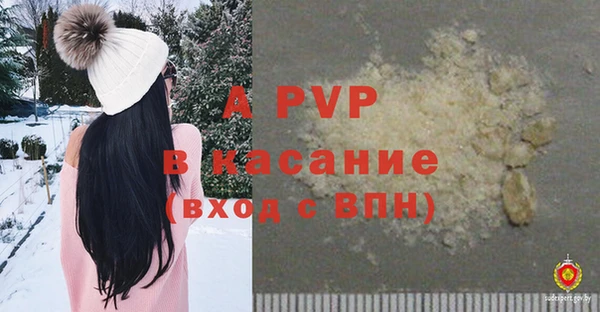 индика Зеленодольск