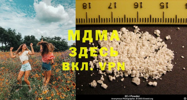 индика Зеленодольск