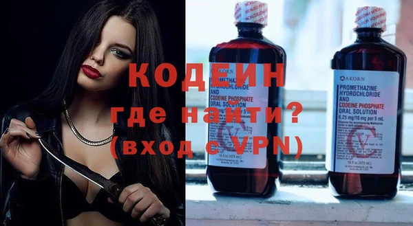 индика Зеленодольск