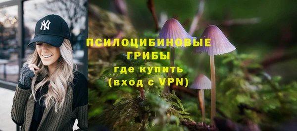 индика Зеленодольск