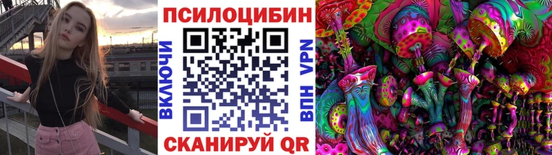 Купить закладки  Дальнереченск  Галлюциногенные грибы Psilocybe 